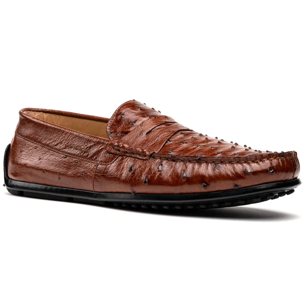 Monza Ostrich Quill Driver in Brandy by Zelli Italia