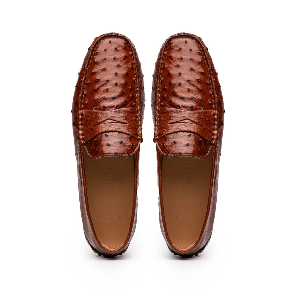 Monza Ostrich Quill Driver in Brandy by Zelli Italia