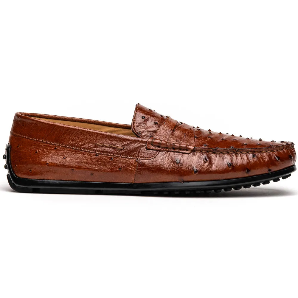 Monza Ostrich Quill Driver in Brandy by Zelli Italia